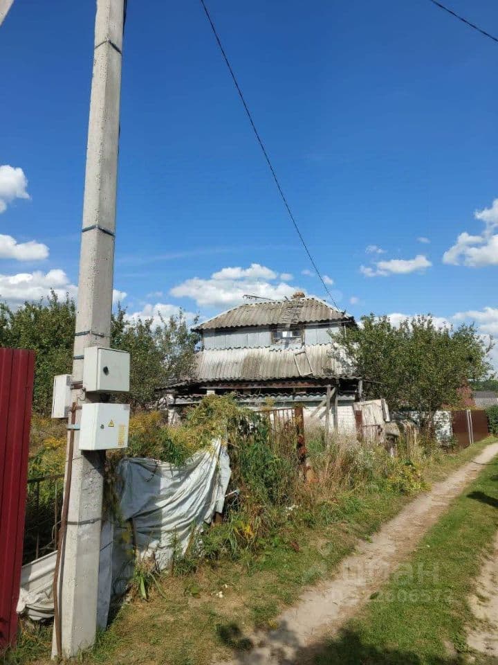 Alt