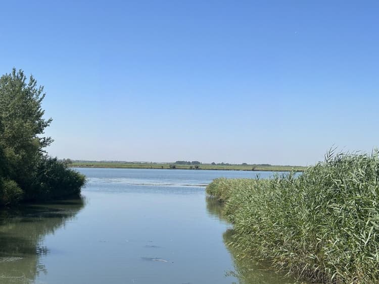 Alt