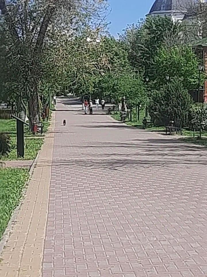 Alt