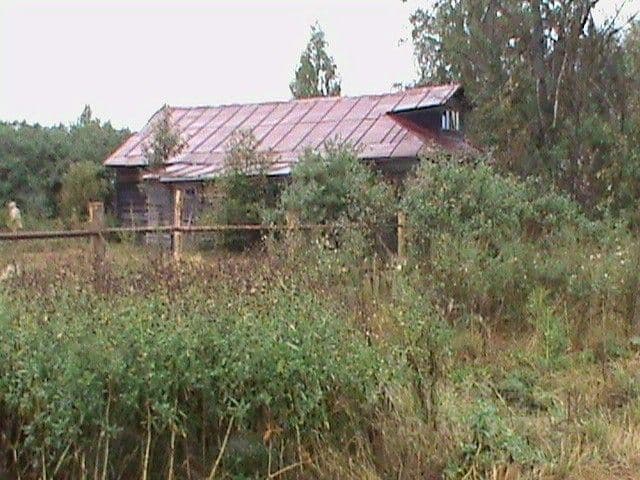 Alt